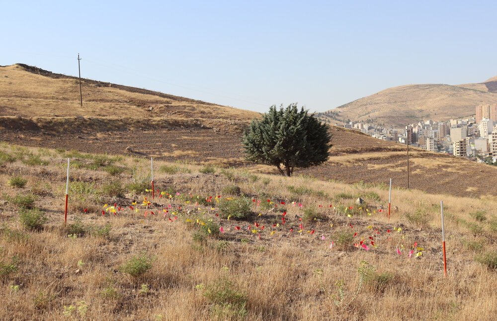 سرنوشت محوطه باستانی یک میلیون ساله کرمانشاه چه میشود؟