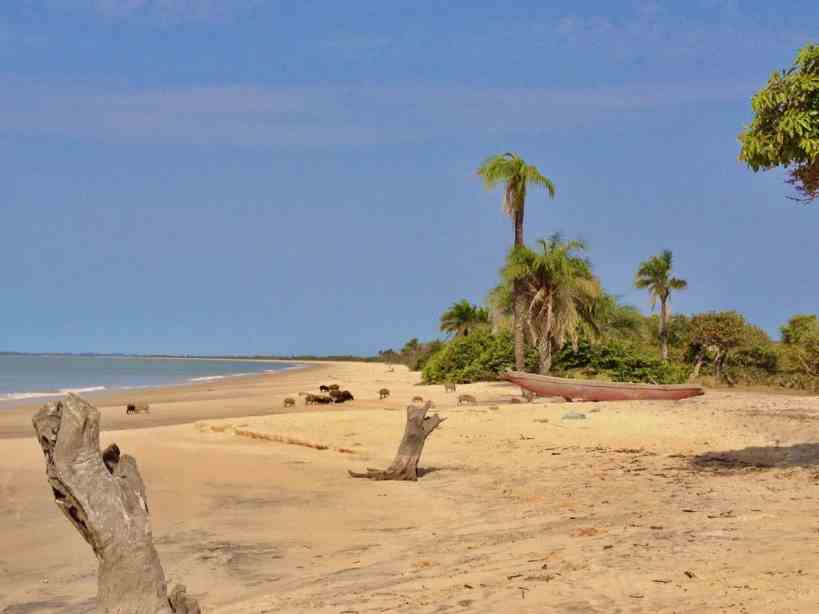  عکس کشور گینه بیسائو