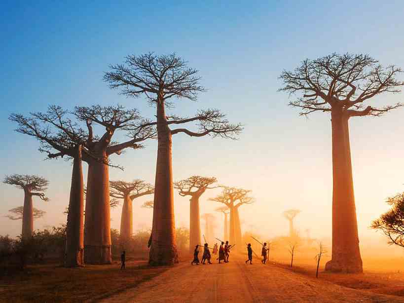  عکس کشور ماداگاسکار