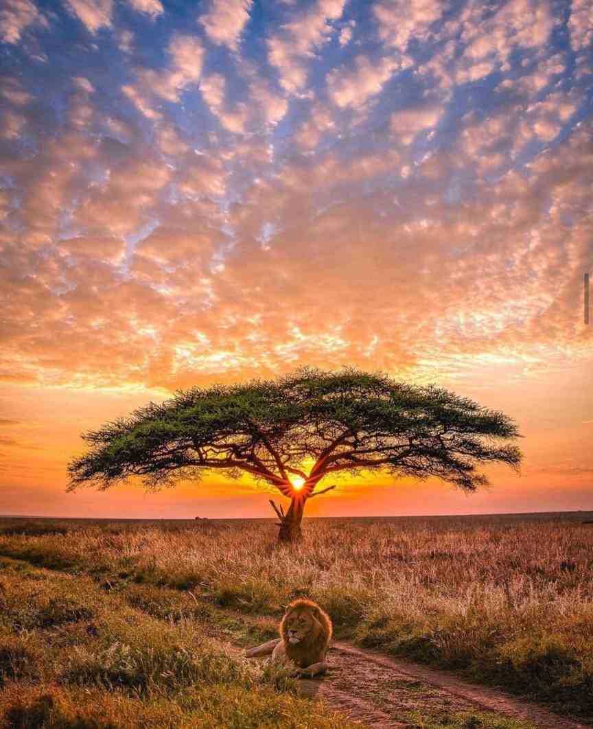  عکس کشور تانزانیا