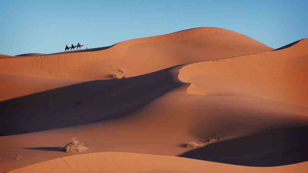  عکس کشور صحراي غربي