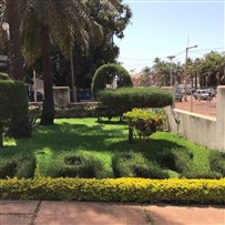  عکس کشور گینه