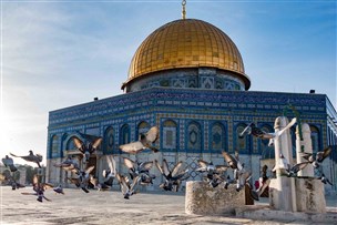  عکس کشور فلسطين