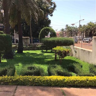  عکس کشور گینه