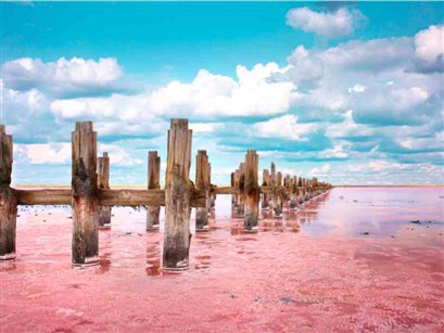  عکس کشور سنگال