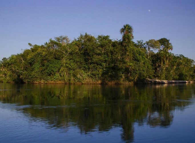 زیباترین باغ ریو / سفری به سرزمین سرسبز گیاهان در قلب برزیل