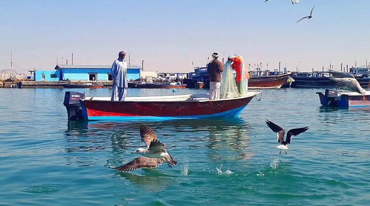 زیباترین جاذبه‌های گردشگری کنارک سیستان و بلوچستان